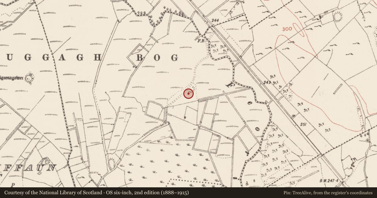 Ordnance Survey six-inch map, 2nd edition (1888–1915) covering the location of Enclosure, Cabragh, County Sligo, with a pin at the register's coordinates