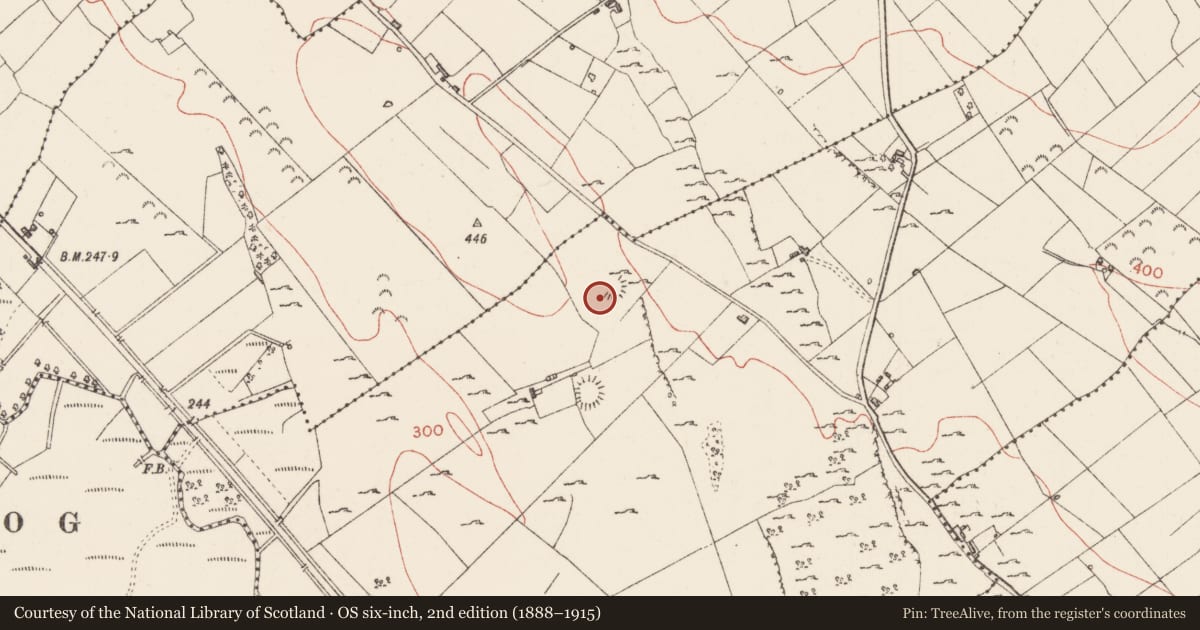 Ordnance Survey six-inch map, 2nd edition (1888–1915) covering the location of Ringfort - rath, Carrowcashel, County Sligo, with a pin at the register's coordinates