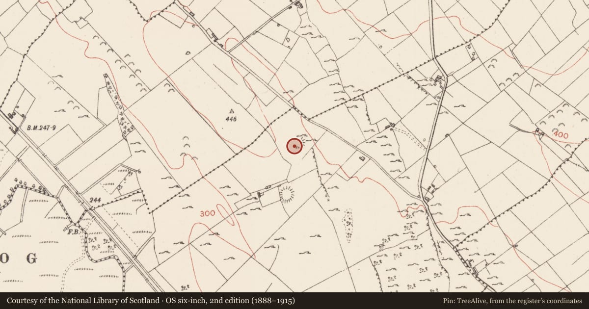 Ordnance Survey six-inch map, 2nd edition (1888–1915) covering the location of Souterrain, Carrowcashel, County Sligo, with a pin at the register's coordinates