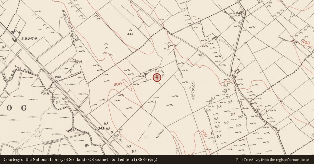 Ordnance Survey six-inch map, 2nd edition (1888–1915) covering the location of Ringfort - rath, Carrowcashel, County Sligo, with a pin at the register's coordinates