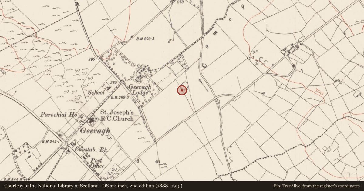 Ordnance Survey six-inch map, 2nd edition (1888–1915) covering the location of Ringfort - rath, Ballynashee, County Sligo, with a pin at the register's coordinates