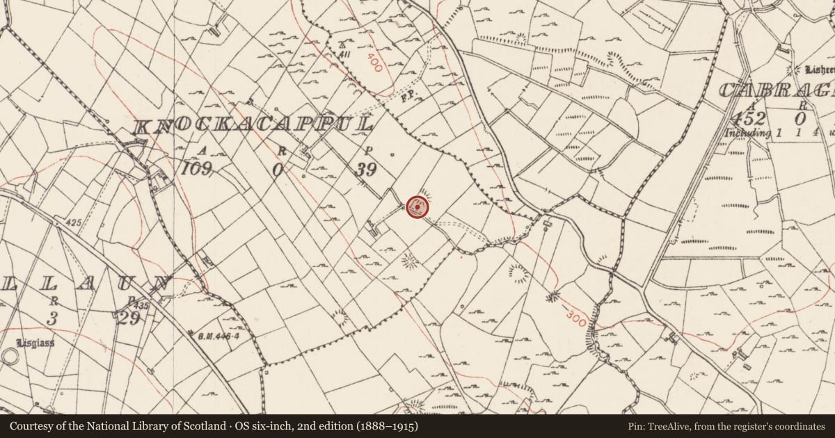 Ordnance Survey six-inch map, 2nd edition (1888–1915) covering the location of Ringfort - rath, Knockacappul, County Sligo, with a pin at the register's coordinates