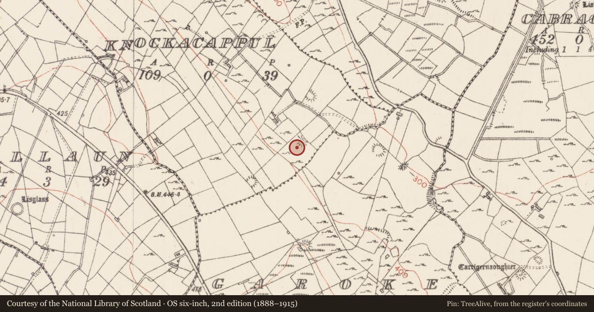 Ordnance Survey six-inch map, 2nd edition (1888–1915) covering the location of Ringfort - rath, Knockacappul, County Sligo, with a pin at the register's coordinates
