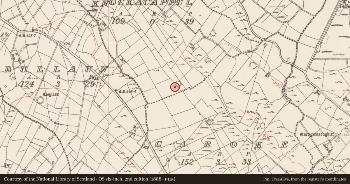 Ordnance Survey six-inch map, 2nd edition (1888–1915) covering the location of Ringfort - rath, Knockacappul, County Sligo, with a pin at the register's coordinates