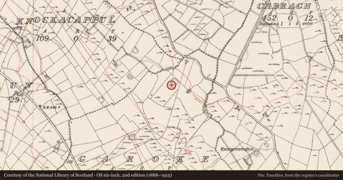Ordnance Survey six-inch map, 2nd edition (1888–1915) covering the location of Ringfort - cashel, Garoke, County Sligo, with a pin at the register's coordinates