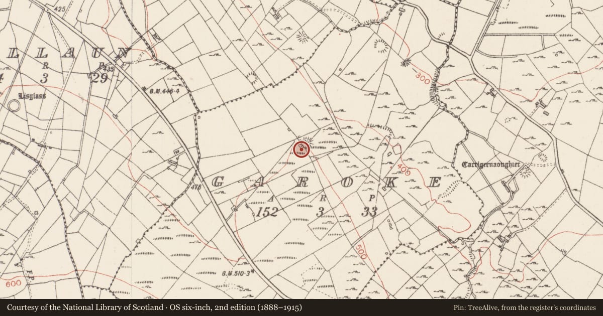 Ordnance Survey six-inch map, 2nd edition (1888–1915) covering the location of Ringfort - rath, Garoke, County Sligo, with a pin at the register's coordinates