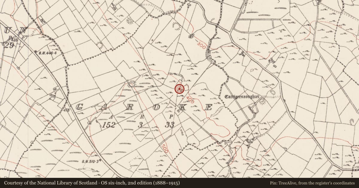 Ordnance Survey six-inch map, 2nd edition (1888–1915) covering the location of Settlement cluster, Garoke, County Sligo, with a pin at the register's coordinates