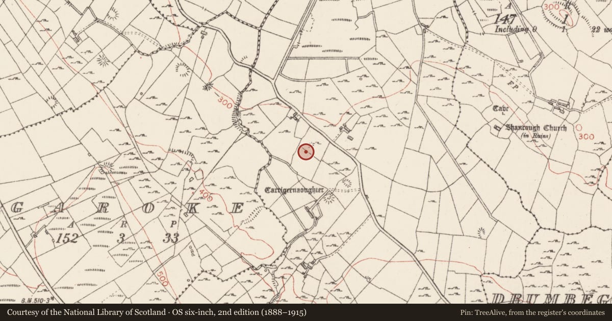 Ordnance Survey six-inch map, 2nd edition (1888–1915) covering the location of Barrow - unclassified, Cabragh, County Sligo, with a pin at the register's coordinates