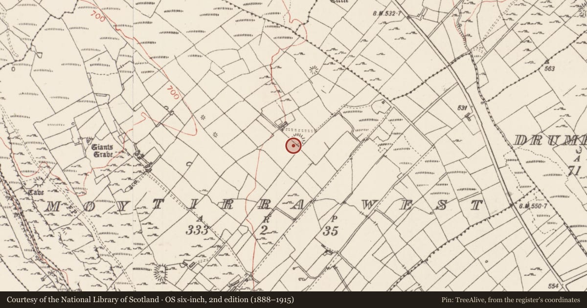 Ordnance Survey six-inch map, 2nd edition (1888–1915) covering the location of Ringfort - rath, Moytirra West, County Sligo, with a pin at the register's coordinates