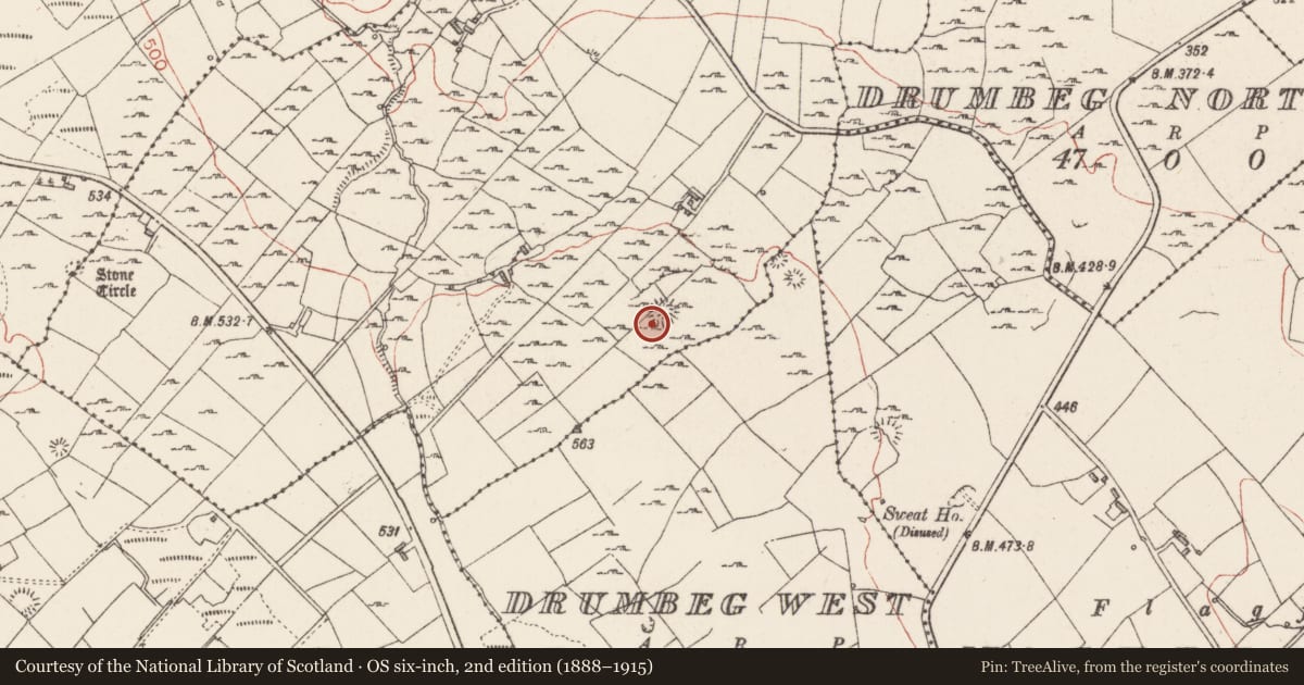 Ordnance Survey six-inch map, 2nd edition (1888–1915) covering the location of Ringfort - cashel, Cabragh, County Sligo, with a pin at the register's coordinates