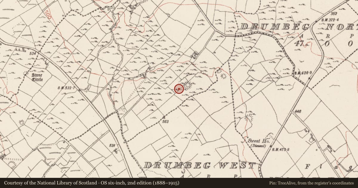Ordnance Survey six-inch map, 2nd edition (1888–1915) covering the location of Hut site, Cabragh, County Sligo, with a pin at the register's coordinates