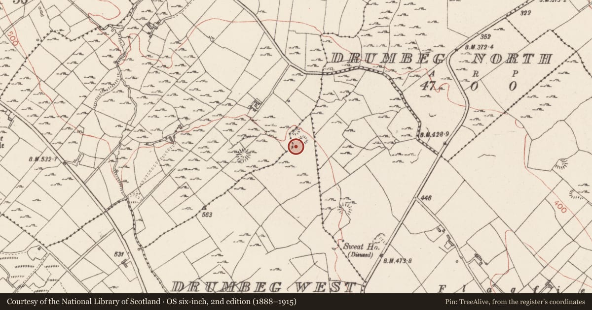 Ordnance Survey six-inch map, 2nd edition (1888–1915) covering the location of Ringfort - cashel, Drumbeg West, County Sligo, with a pin at the register's coordinates