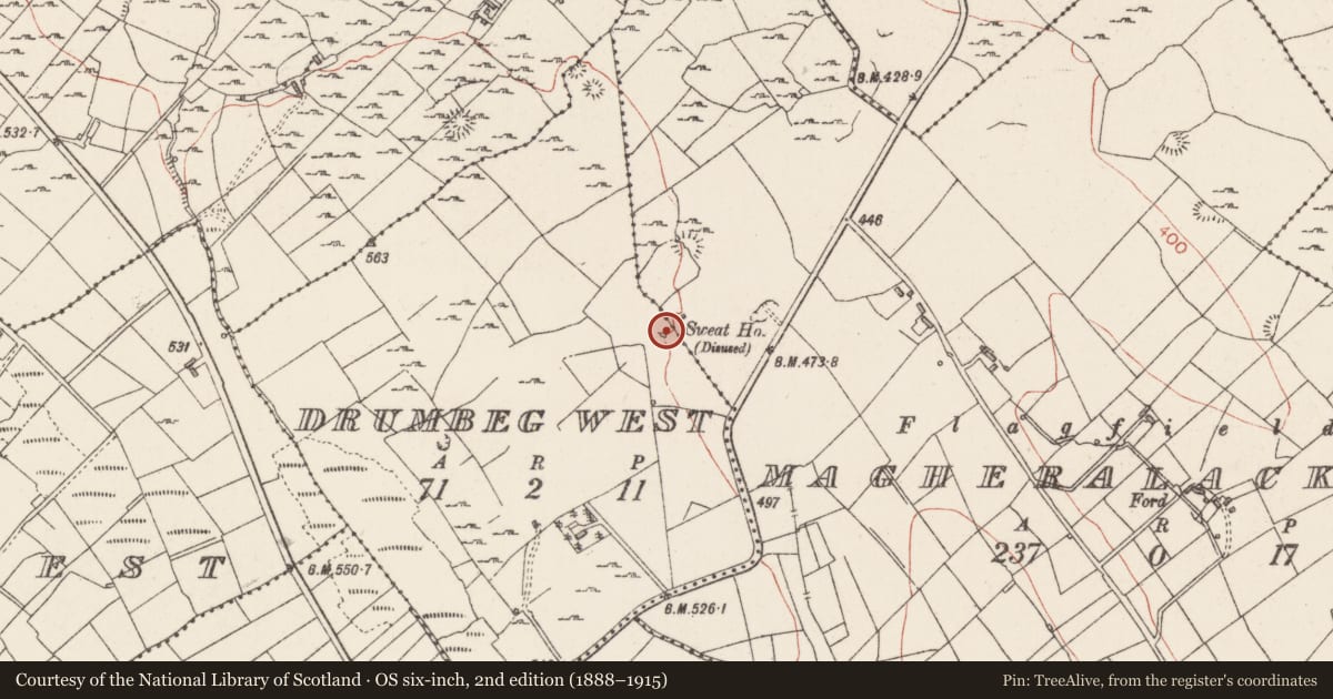 Ordnance Survey six-inch map, 2nd edition (1888–1915) covering the location of Sweathouse, Magheralackagh, County Sligo, with a pin at the register's coordinates