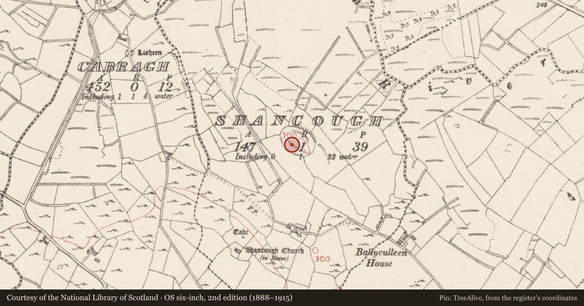 Ordnance Survey six-inch map, 2nd edition (1888–1915) covering the location of Enclosure, Shancough, County Sligo, with a pin at the register's coordinates