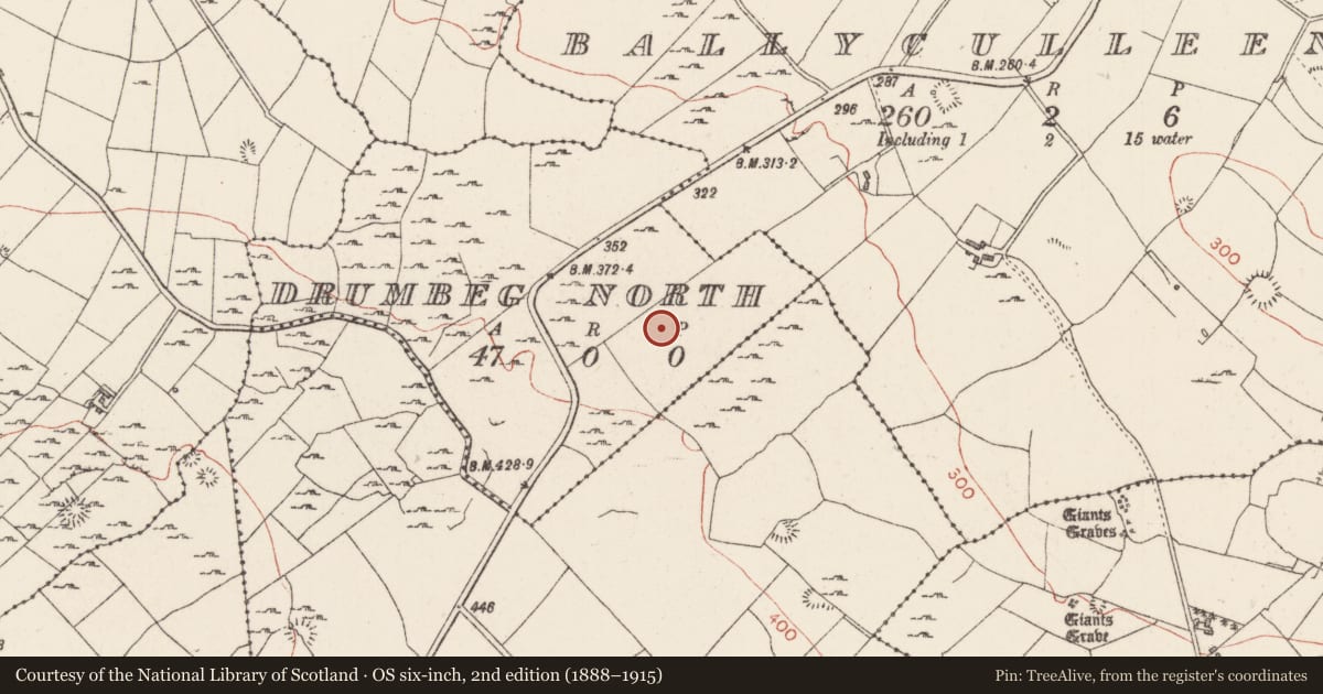 Ordnance Survey six-inch map, 2nd edition (1888–1915) covering the location of Enclosure, Drumbeg North, County Sligo, with a pin at the register's coordinates