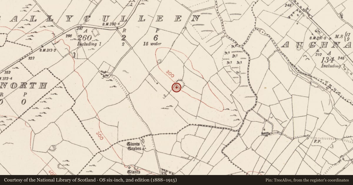 Ordnance Survey six-inch map, 2nd edition (1888–1915) covering the location of Ringfort - rath, Ballyculleen, County Sligo, with a pin at the register's coordinates