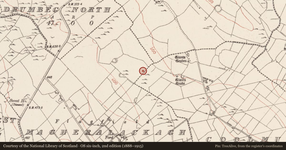 Ordnance Survey six-inch map, 2nd edition (1888–1915) covering the location of Hut site, Magheralackagh, County Sligo, with a pin at the register's coordinates
