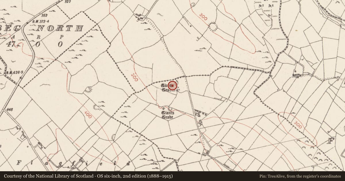 Ordnance Survey six-inch map, 2nd edition (1888–1915) covering the location of Megalithic tomb - unclassified, Coolmurly, County Sligo, with a pin at the register's coordinates