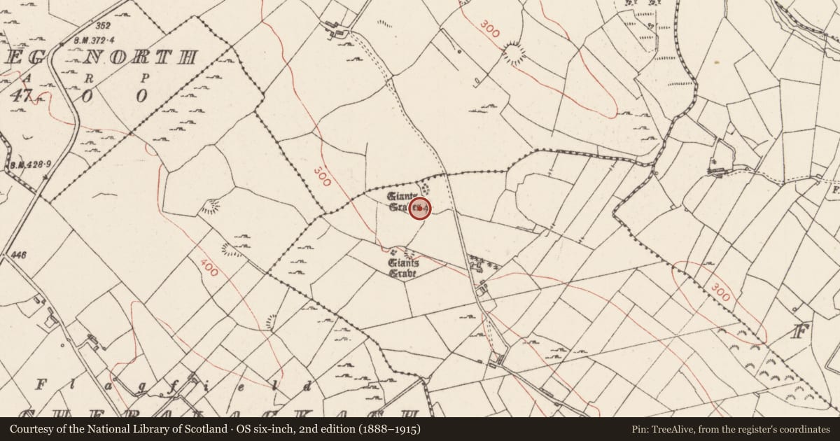 Ordnance Survey six-inch map, 2nd edition (1888–1915) covering the location of Megalithic tomb - court tomb, Coolmurly, County Sligo, with a pin at the register's coordinates