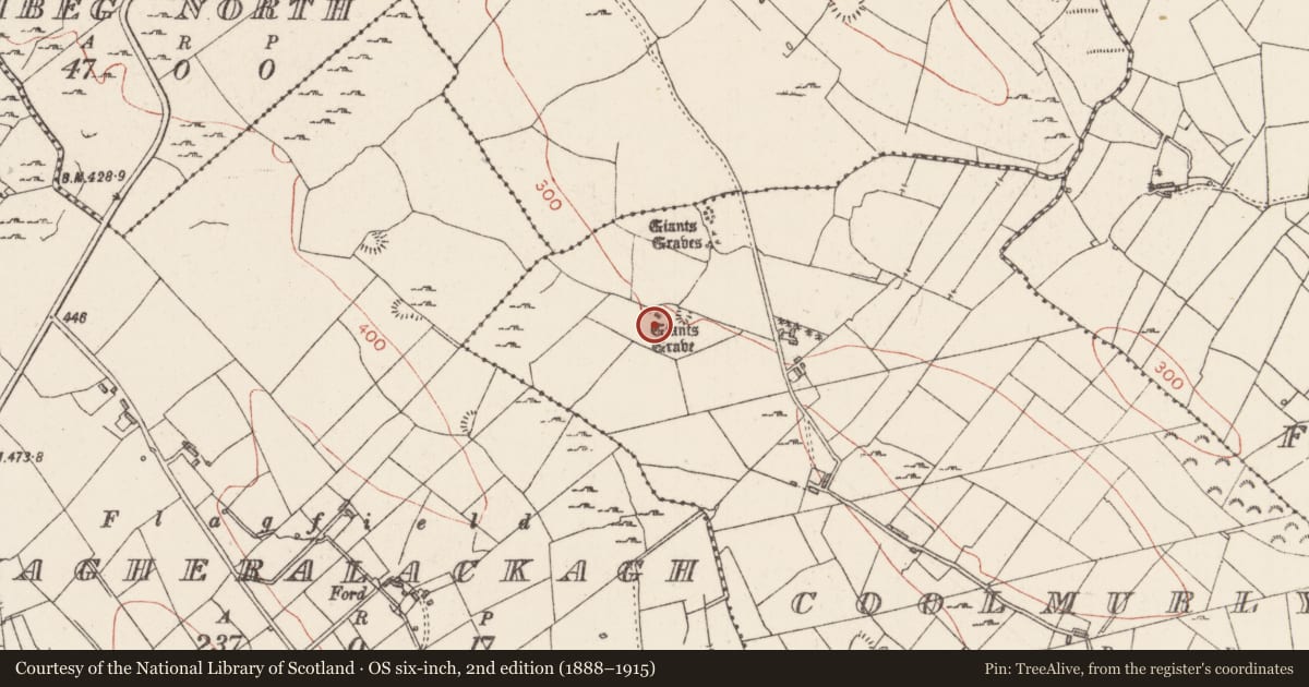 Ordnance Survey six-inch map, 2nd edition (1888–1915) covering the location of Megalithic tomb - wedge tomb, Coolmurly, County Sligo, with a pin at the register's coordinates