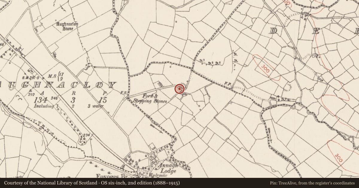 Ordnance Survey six-inch map, 2nd edition (1888–1915) covering the location of Ringfort - rath, Crawhill, County Sligo, with a pin at the register's coordinates