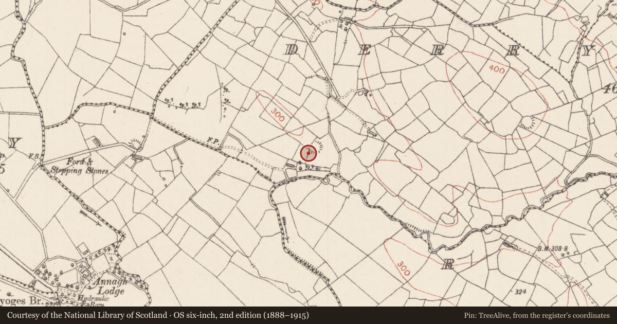 Ordnance Survey six-inch map, 2nd edition (1888–1915) covering the location of Ringfort - rath, Derrysallagh, County Sligo, with a pin at the register's coordinates
