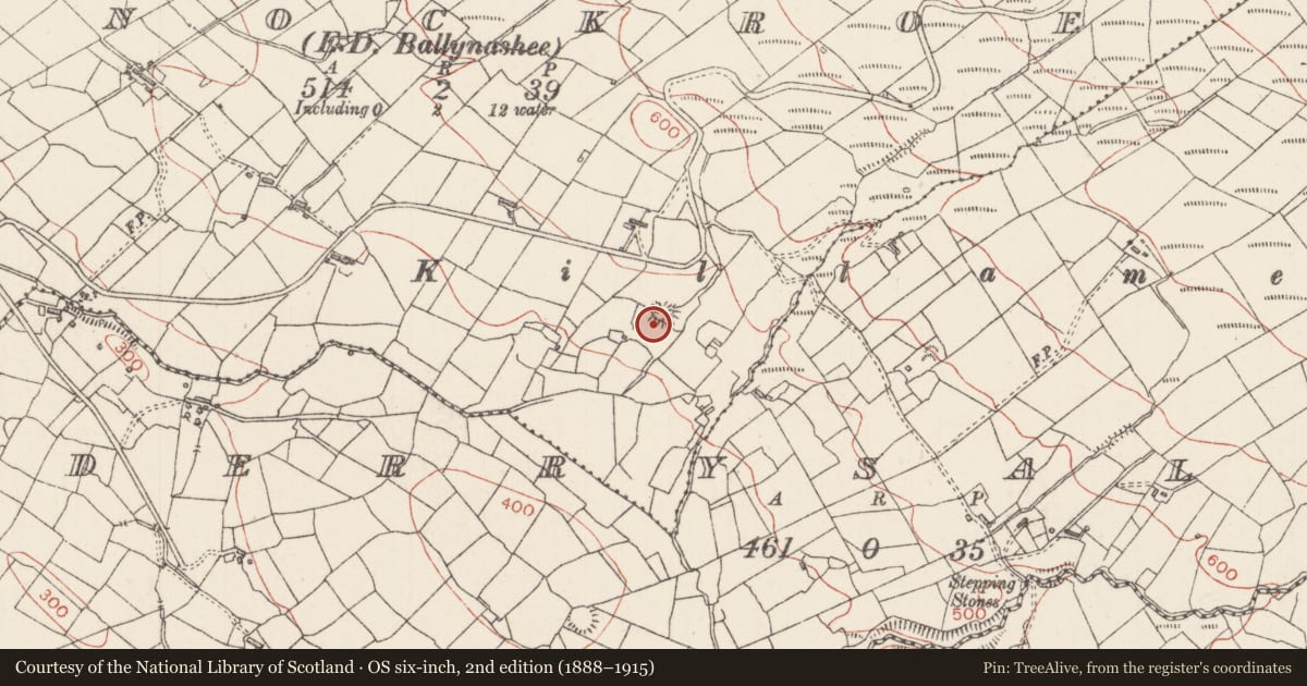 Ordnance Survey six-inch map, 2nd edition (1888–1915) covering the location of Ringfort - cashel, Knockroe, County Sligo, with a pin at the register's coordinates