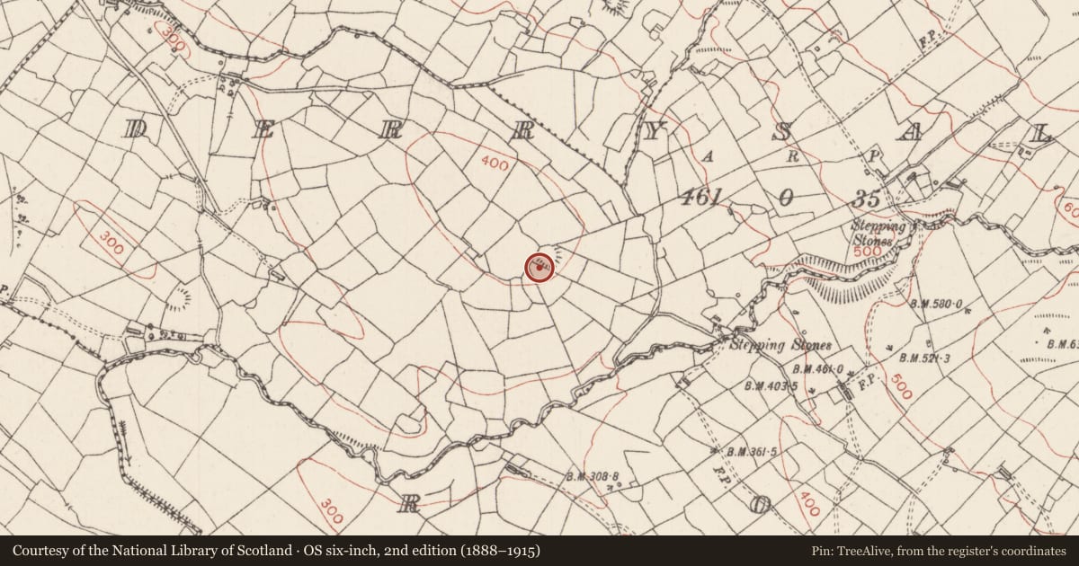 Ordnance Survey six-inch map, 2nd edition (1888–1915) covering the location of Ringfort - rath, Derrysallagh, County Sligo, with a pin at the register's coordinates