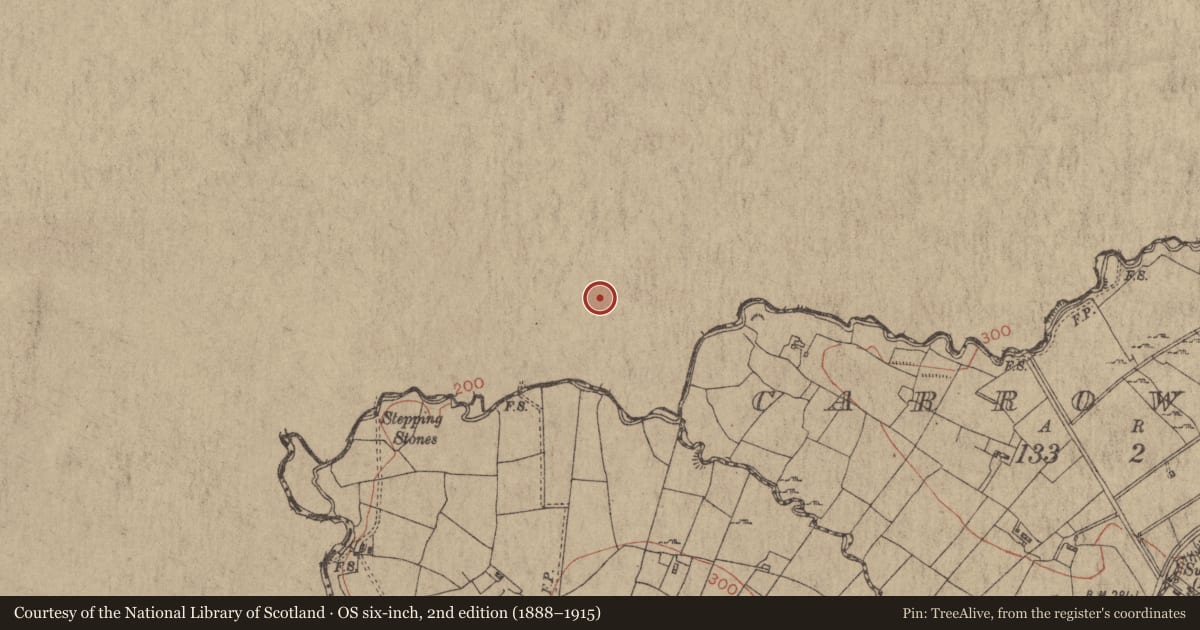 Ordnance Survey six-inch map, 2nd edition (1888–1915) covering the location of Enclosure, Rover, County Sligo, with a pin at the register's coordinates