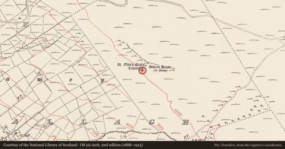Ordnance Survey six-inch map, 2nd edition (1888–1915) covering the location of Ritual site - holy well, Derrysallagh, County Sligo, with a pin at the register's coordinates