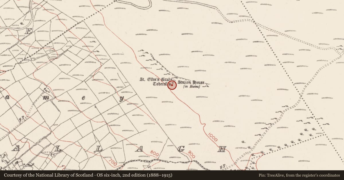 Ordnance Survey six-inch map, 2nd edition (1888–1915) covering the location of Penitential station, Derrysallagh, County Sligo, with a pin at the register's coordinates