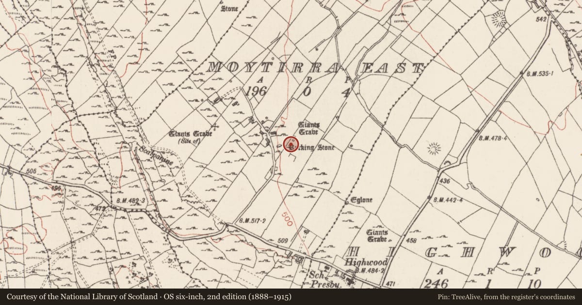 Ordnance Survey six-inch map, 2nd edition (1888–1915) covering the location of Megalithic tomb - court tomb, Moytirra East, County Sligo, with a pin at the register's coordinates