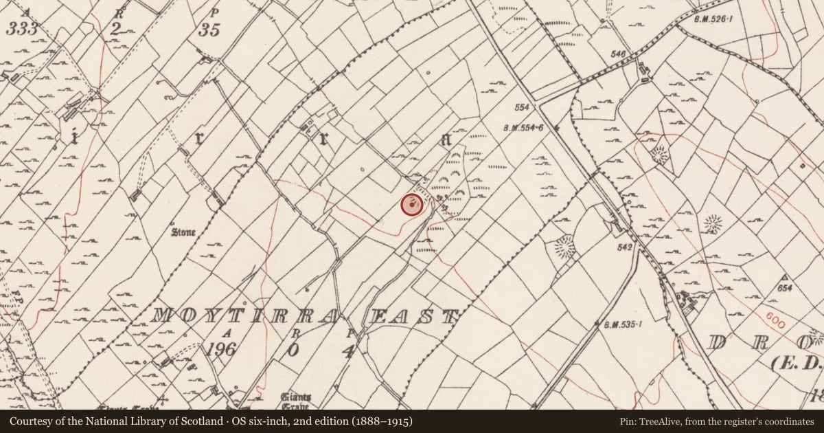 Ordnance Survey six-inch map, 2nd edition (1888–1915) covering the location of Moated site, Moytirra East, County Sligo, with a pin at the register's coordinates