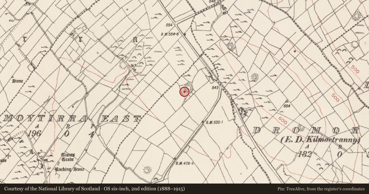 Ordnance Survey six-inch map, 2nd edition (1888–1915) covering the location of Ringfort - rath, Highwood, County Sligo, with a pin at the register's coordinates