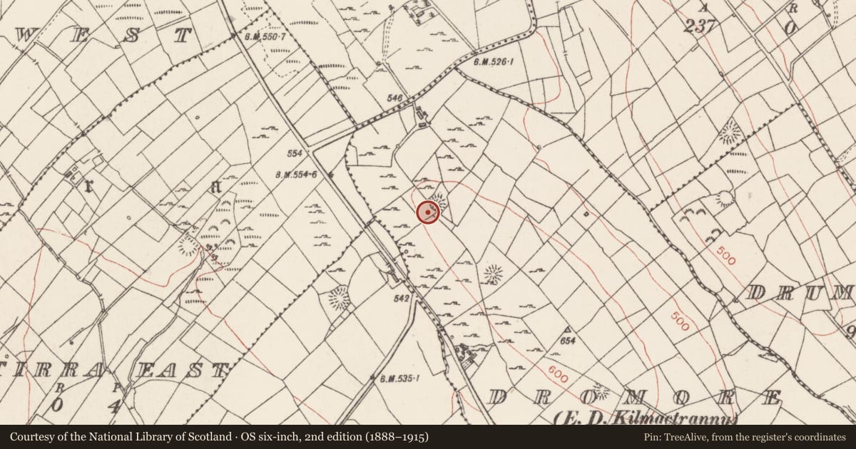 Ordnance Survey six-inch map, 2nd edition (1888–1915) covering the location of Ringfort - rath, Dromore, County Sligo, with a pin at the register's coordinates
