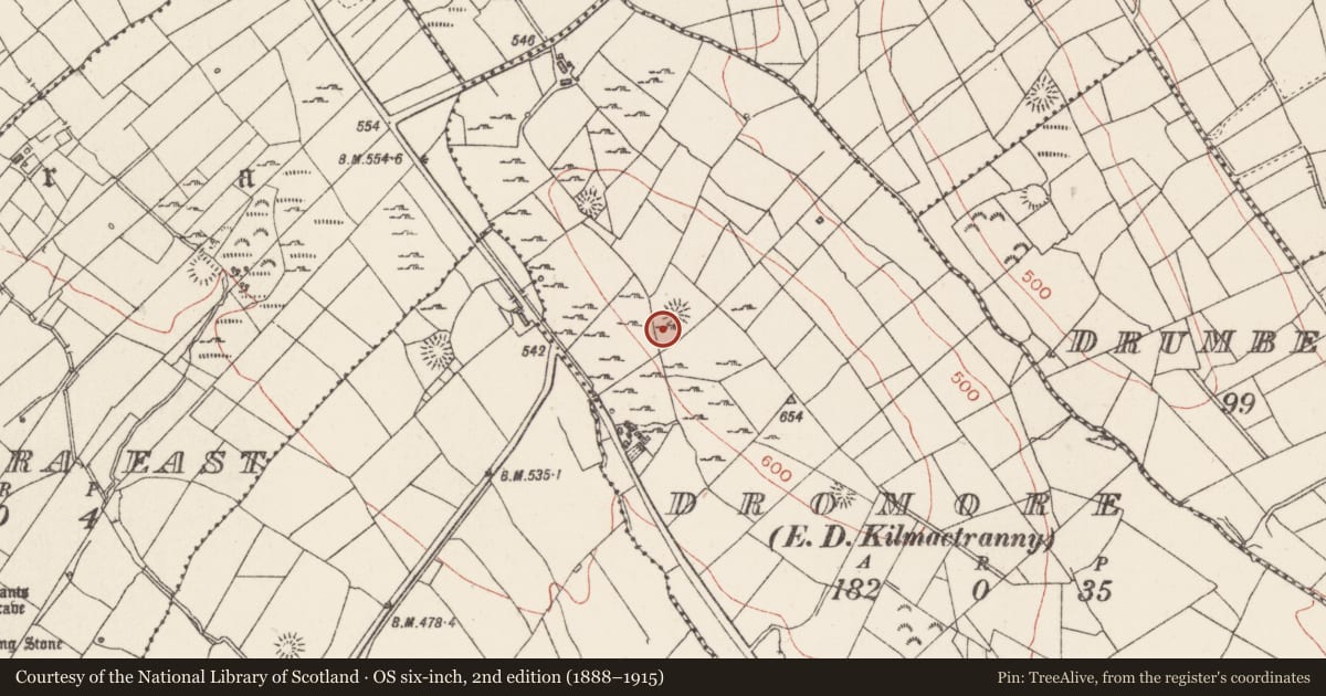 Ordnance Survey six-inch map, 2nd edition (1888–1915) covering the location of Ringfort - rath, Dromore, County Sligo, with a pin at the register's coordinates