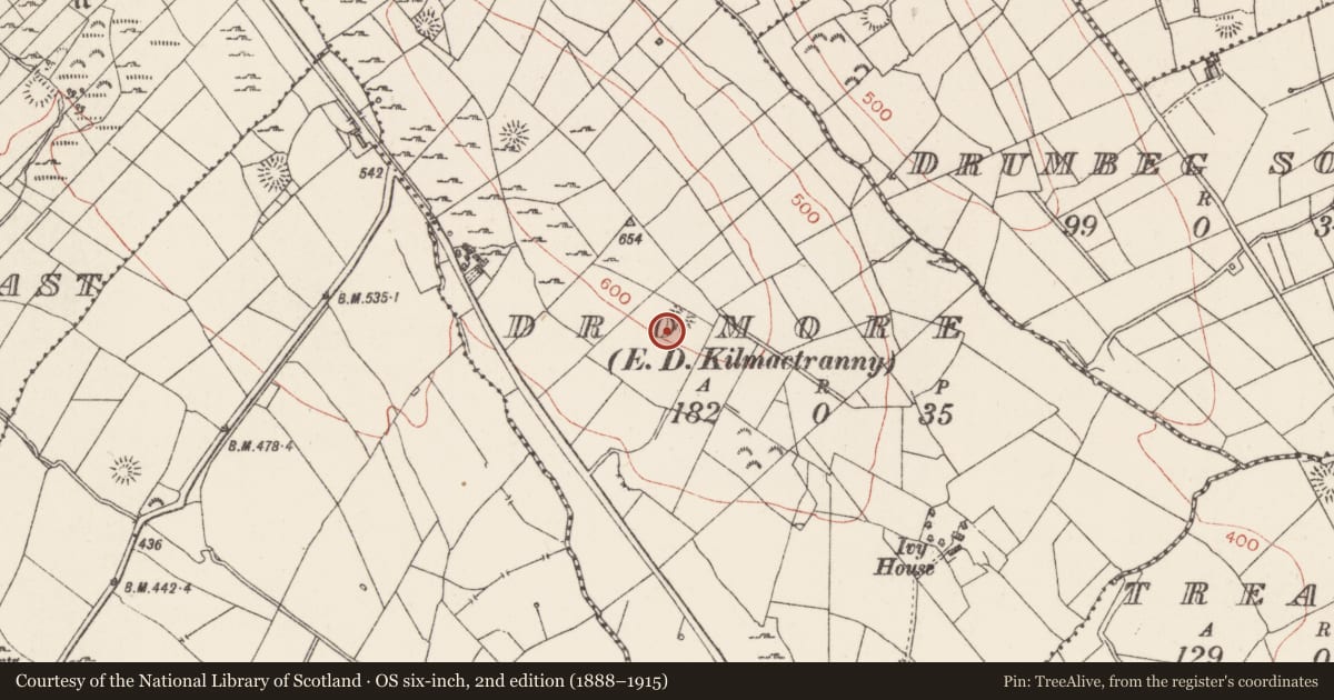 Ordnance Survey six-inch map, 2nd edition (1888–1915) covering the location of Ringfort - rath, Dromore, County Sligo, with a pin at the register's coordinates