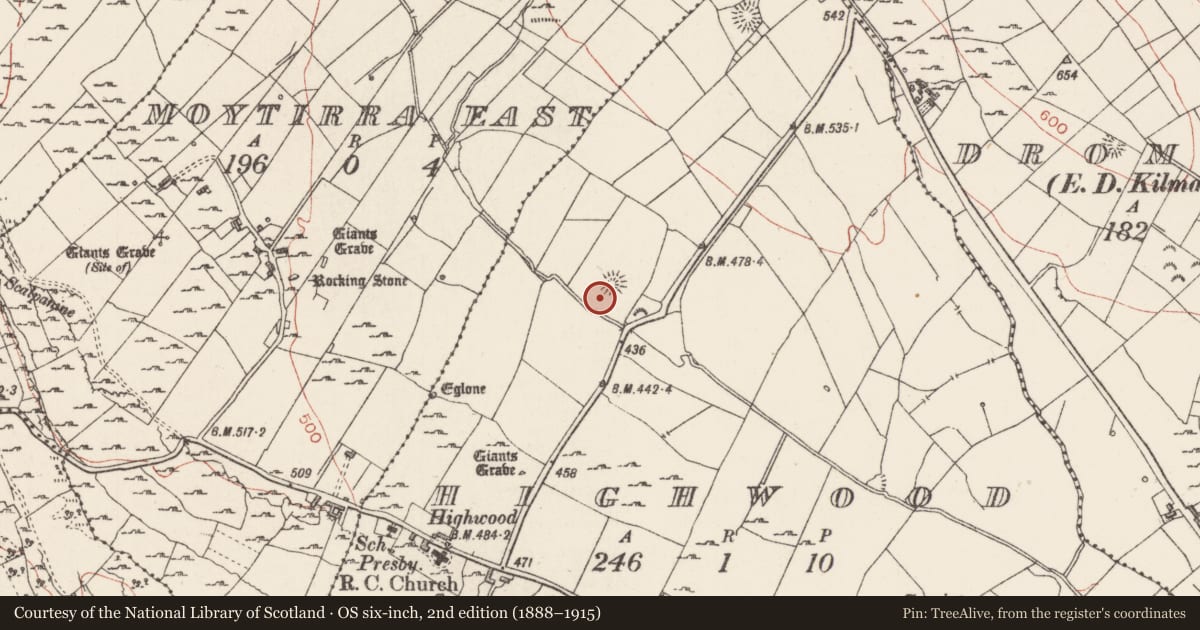 Ordnance Survey six-inch map, 2nd edition (1888–1915) covering the location of Ringfort - rath, Highwood, County Sligo, with a pin at the register's coordinates