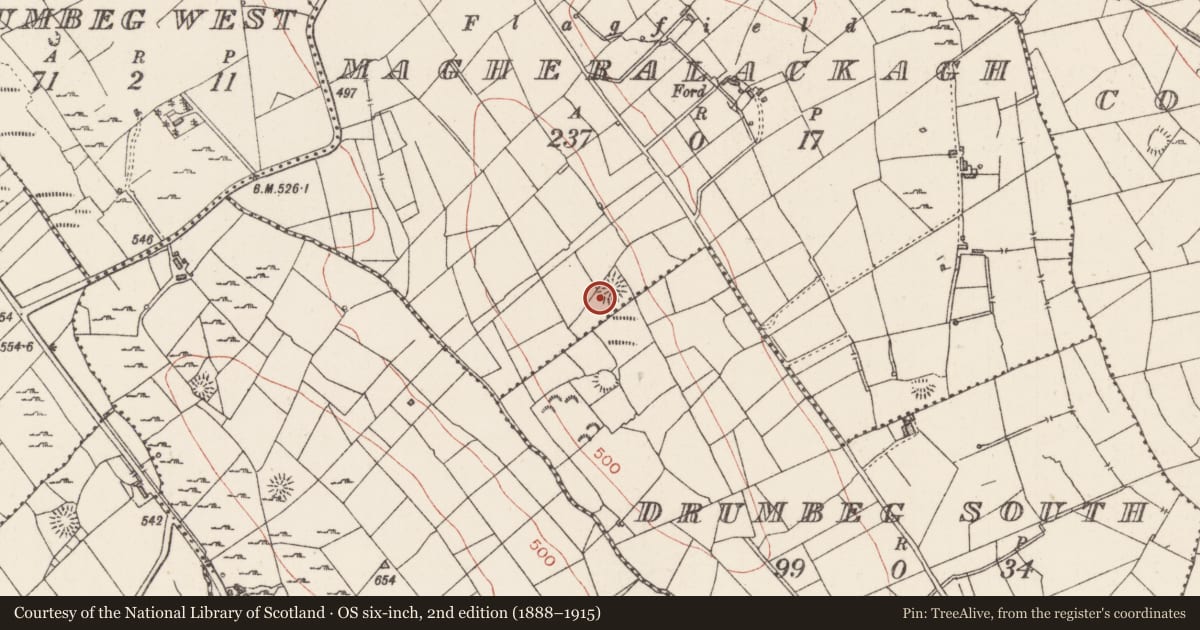 Ordnance Survey six-inch map, 2nd edition (1888–1915) covering the location of Ringfort - rath, Magheralackagh, County Sligo, with a pin at the register's coordinates