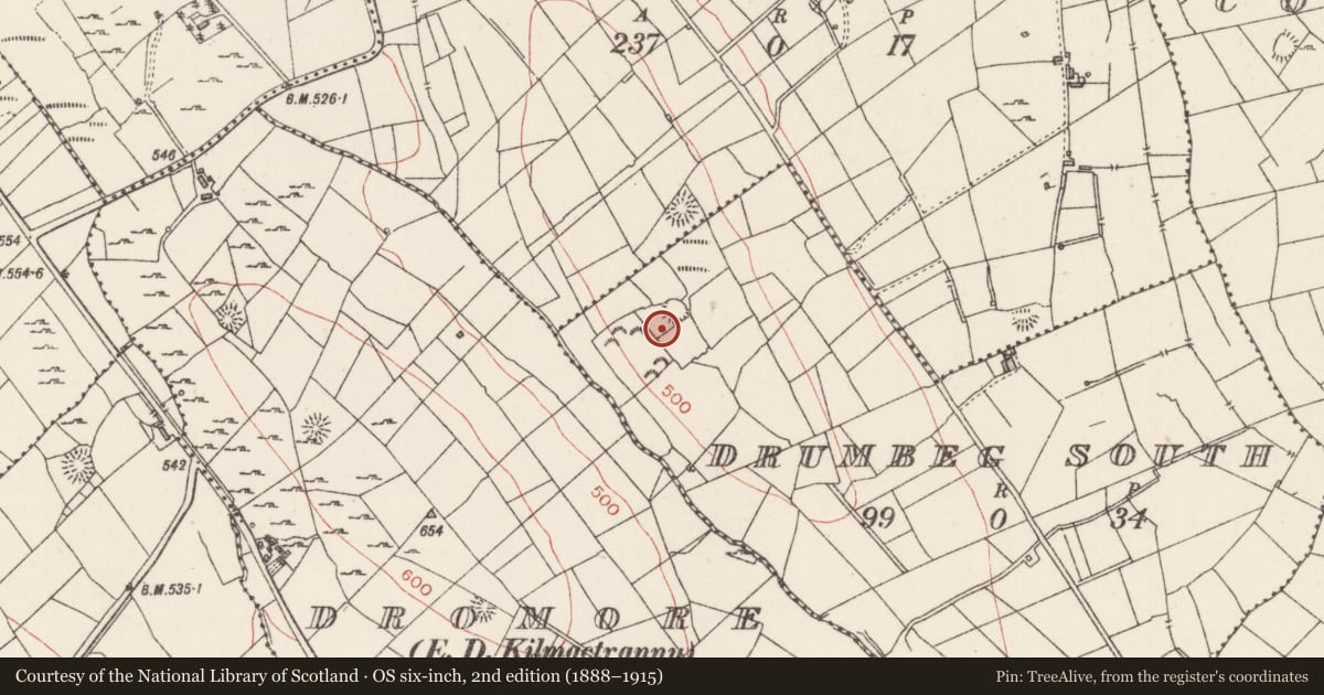 Ordnance Survey six-inch map, 2nd edition (1888–1915) covering the location of Ringfort - rath, Drumbeg South, County Sligo, with a pin at the register's coordinates