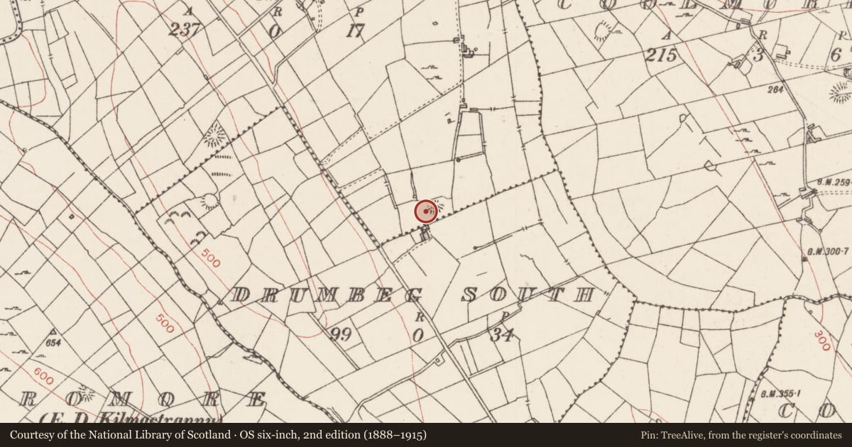 Ordnance Survey six-inch map, 2nd edition (1888–1915) covering the location of Ringfort - rath, Magheralackagh, County Sligo, with a pin at the register's coordinates