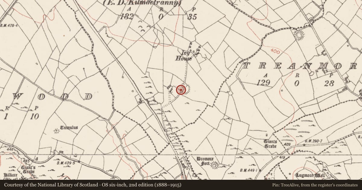 Ordnance Survey six-inch map, 2nd edition (1888–1915) covering the location of Enclosure, Dromore, County Sligo, with a pin at the register's coordinates