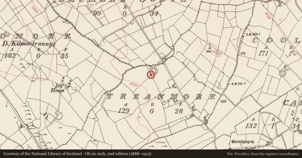 Ordnance Survey six-inch map, 2nd edition (1888–1915) covering the location of Ringfort - rath, Treanmore, County Sligo, with a pin at the register's coordinates