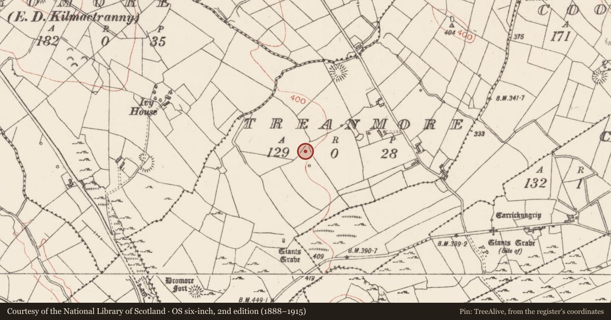 Ordnance Survey six-inch map, 2nd edition (1888–1915) covering the location of Ringfort - rath, Treanmore, County Sligo, with a pin at the register's coordinates