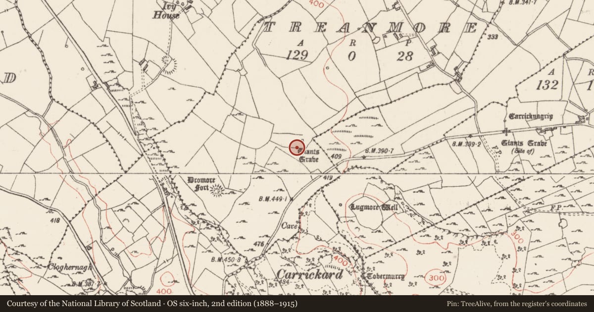 Ordnance Survey six-inch map, 2nd edition (1888–1915) covering the location of Megalithic tomb - court tomb, Treanmore, County Sligo, with a pin at the register's coordinates