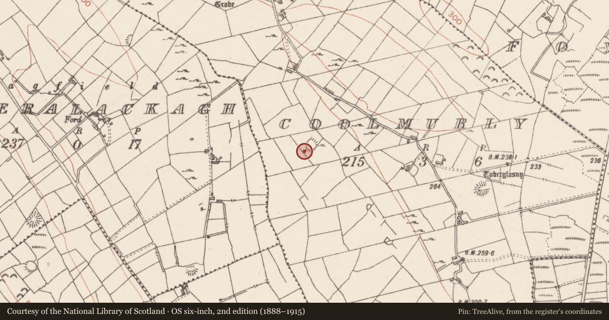 Ordnance Survey six-inch map, 2nd edition (1888–1915) covering the location of Ringfort - rath, Coolmurly, County Sligo, with a pin at the register's coordinates