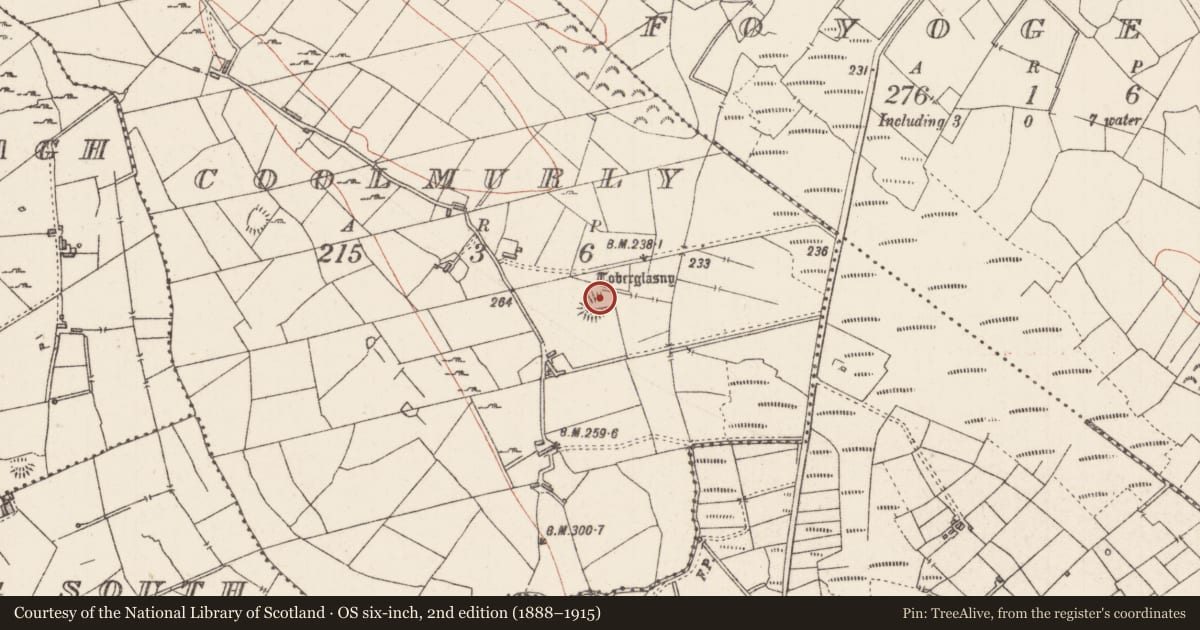 Ordnance Survey six-inch map, 2nd edition (1888–1915) covering the location of Ritual site - holy well, Coolmurly, County Sligo, with a pin at the register's coordinates