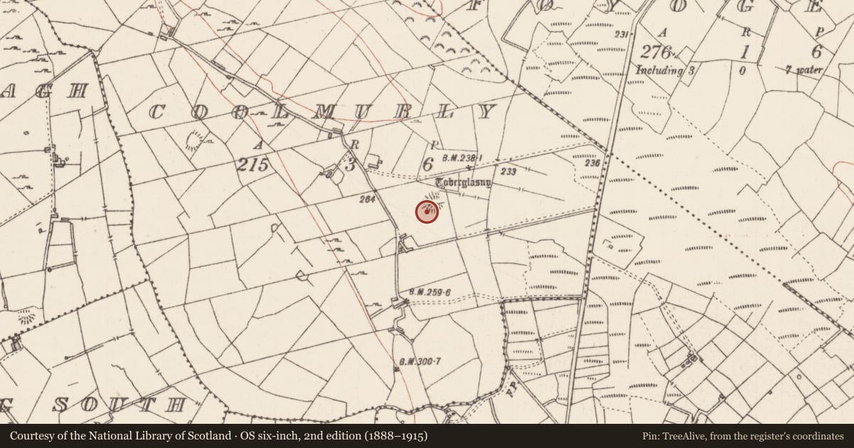 Ordnance Survey six-inch map, 2nd edition (1888–1915) covering the location of Ringfort - rath, Coolmurly, County Sligo, with a pin at the register's coordinates