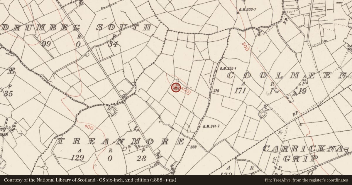 Ordnance Survey six-inch map, 2nd edition (1888–1915) covering the location of Barrow - unclassified, Treanmore, County Sligo, with a pin at the register's coordinates