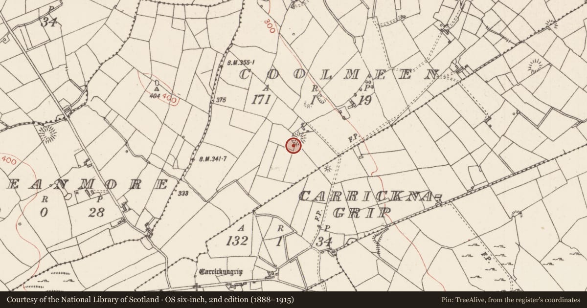 Ordnance Survey six-inch map, 2nd edition (1888–1915) covering the location of Ringfort - rath, Coolmeen, County Sligo, with a pin at the register's coordinates